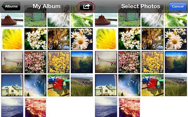 app-organizzare-foto
