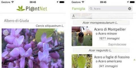 Plantnet app