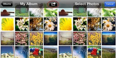 App per Organizzare Foto su iPhone