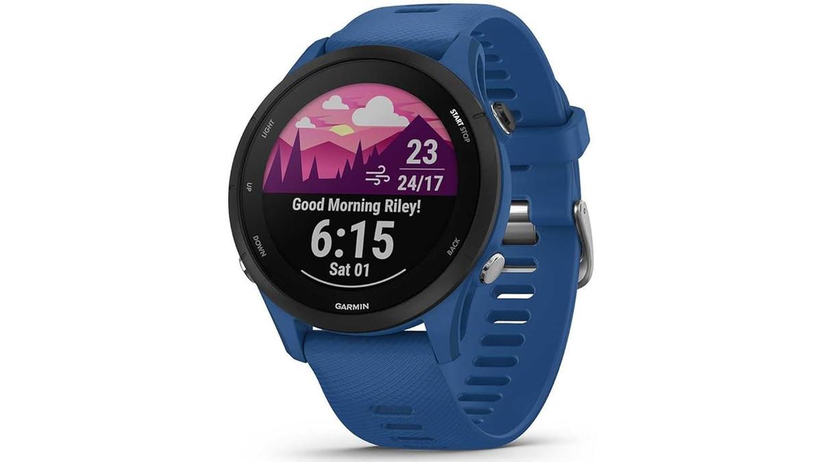 Garmin Forerunner 255 7 Garmin Forerunner 255